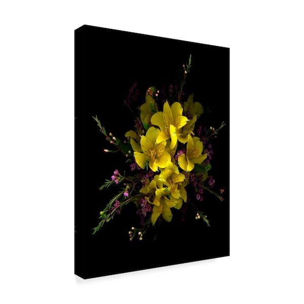 Susan S. Barmon 'Yellow Alstromeria And Wax Flower' Canvas Art,18x24